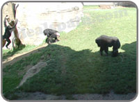 Fuengirola Zoo
