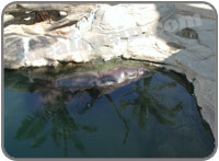 Fuengirola Bioparc
