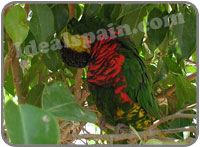 Fuengirola Zoo Bioparc