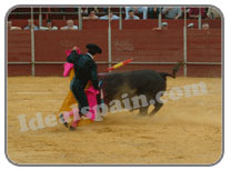 Bullfighting